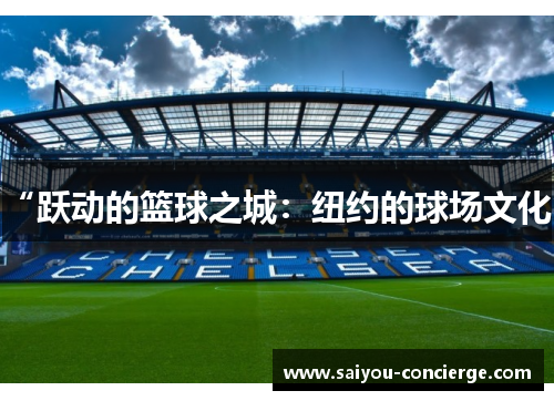 “跃动的篮球之城：纽约的球场文化”